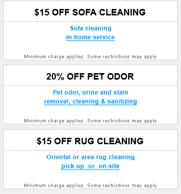 carpet cleaners rug